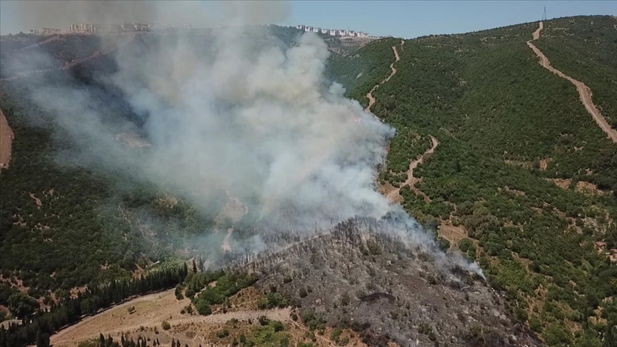 Körfez Çamlıtepe Orman Yangını