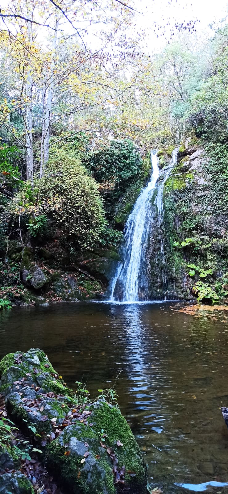 Körfez Gençlerbirliği’nden Örnek Etkinlik! (4)