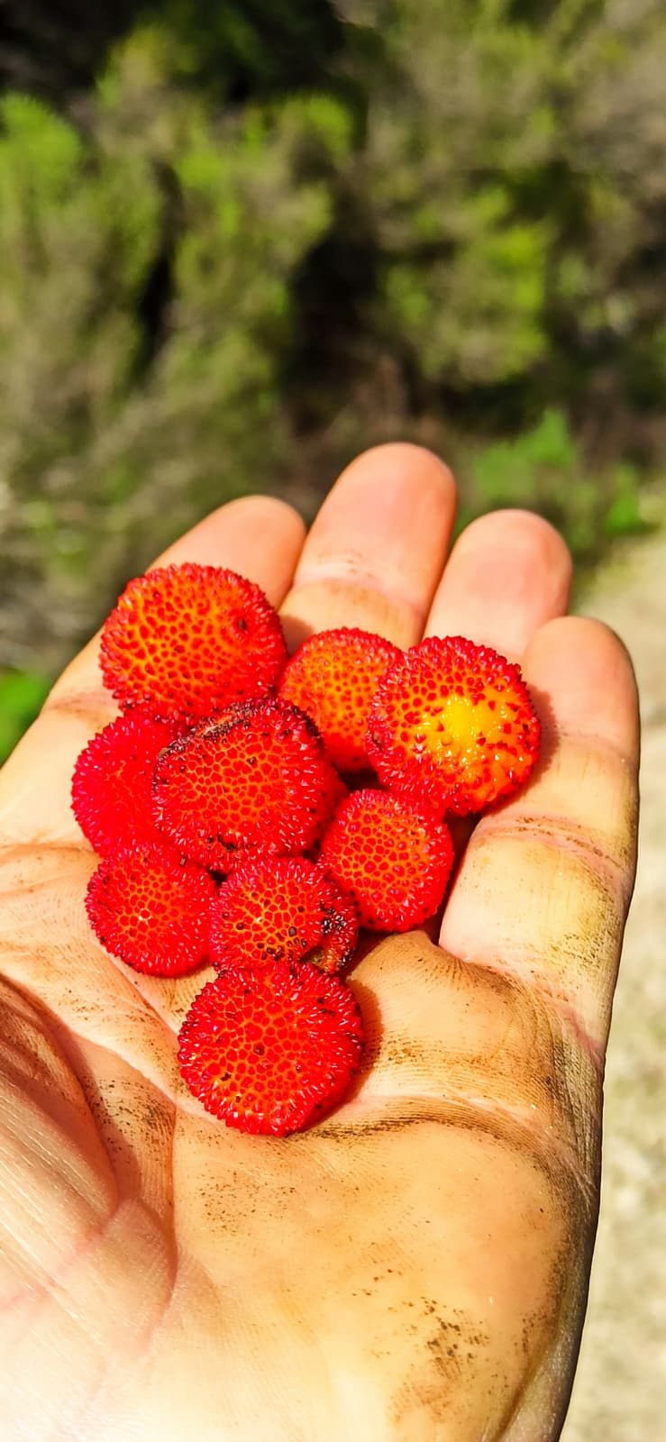 Körfez Gençlerbirliği’nden Örnek Etkinlik! (5)