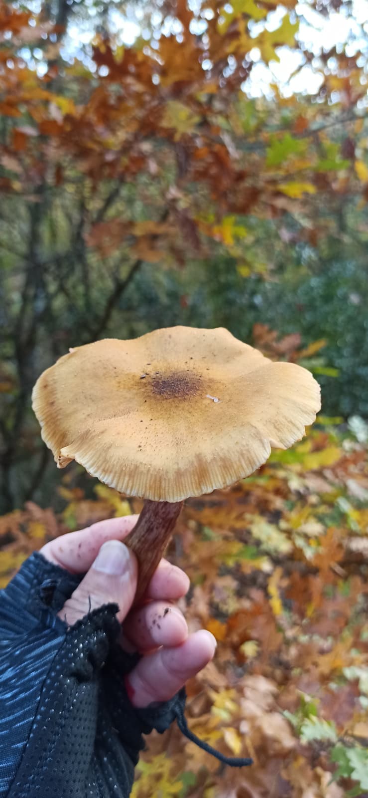 Körfez Gençlerbirliği’nden Örnek Etkinlik! (6)