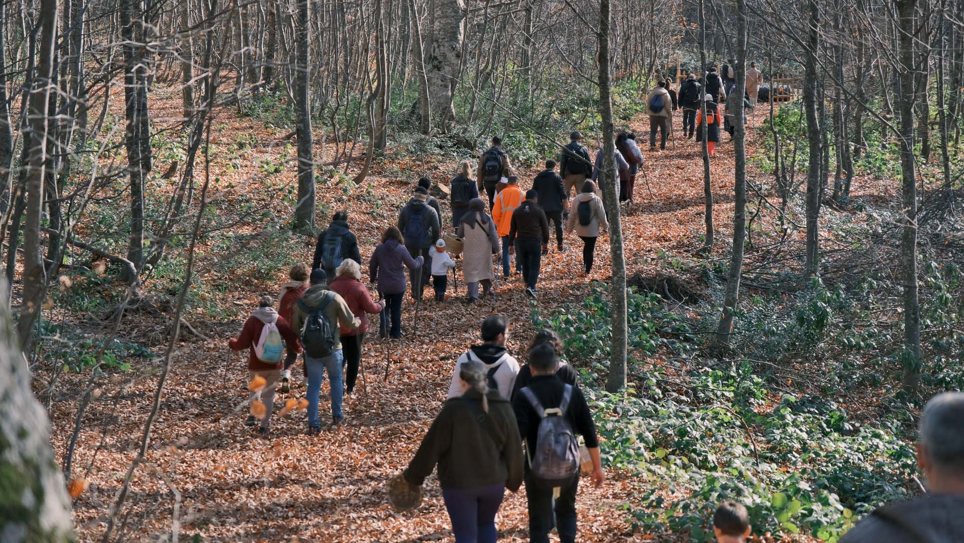 Kuzuyayla'da Mantarların Gizemli Dünyası Keşfedildi (7)