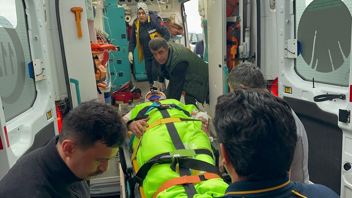 Mantar Toplarken Ayi Saldirisina Ugrayan Koy Imami Yaralandi