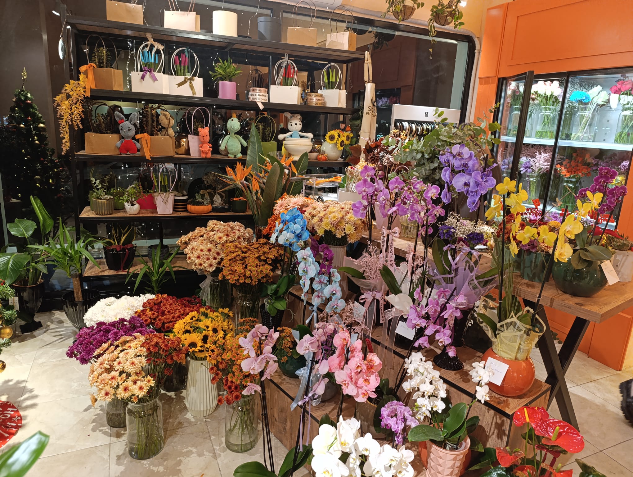 Öğretmenler Günü’ne Özel Orkide Ve Buketler Sun Flowers’ta 1