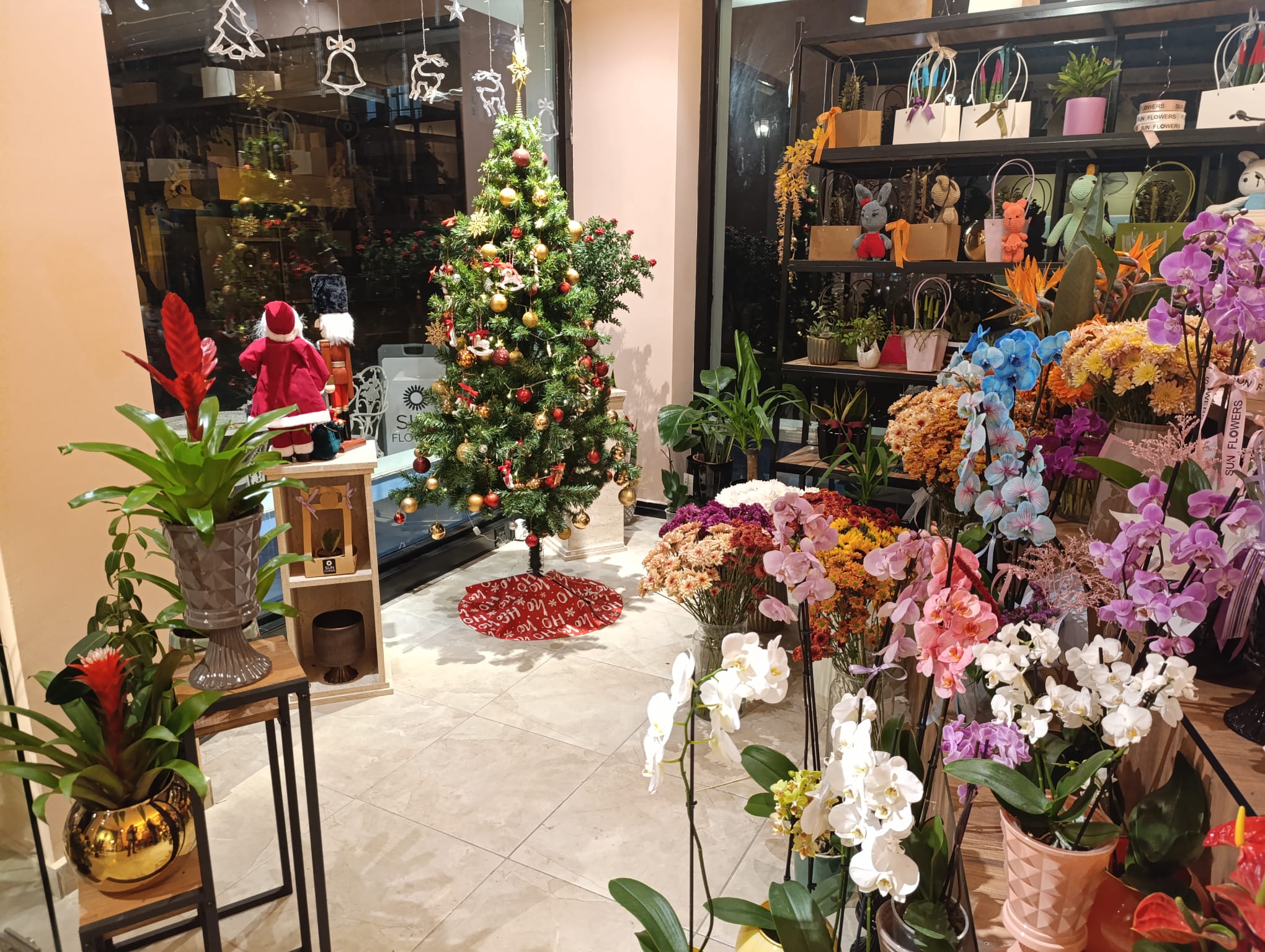 Öğretmenler Günü’ne Özel Orkide Ve Buketler Sun Flowers’ta 2