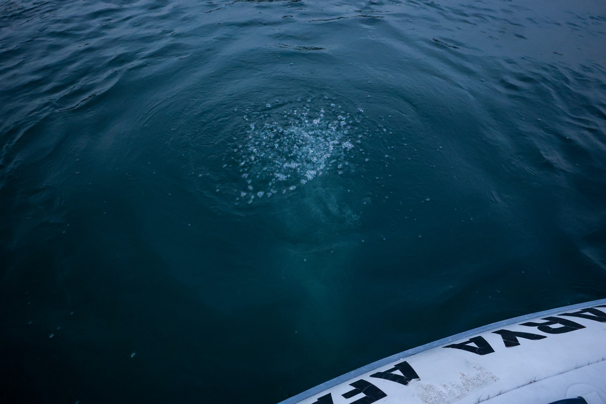 Sapanca Gölü'ndeki Gizem Çözüldü! Hava Kabarcıkları Bu Yüzden Oluyormuş 04