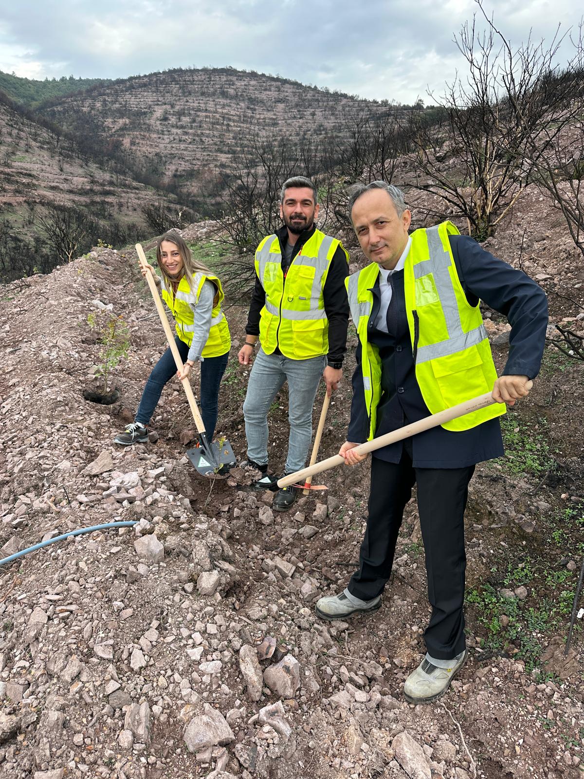 Sedaş'tan Kocaeli'ye 500 Fidan! 1