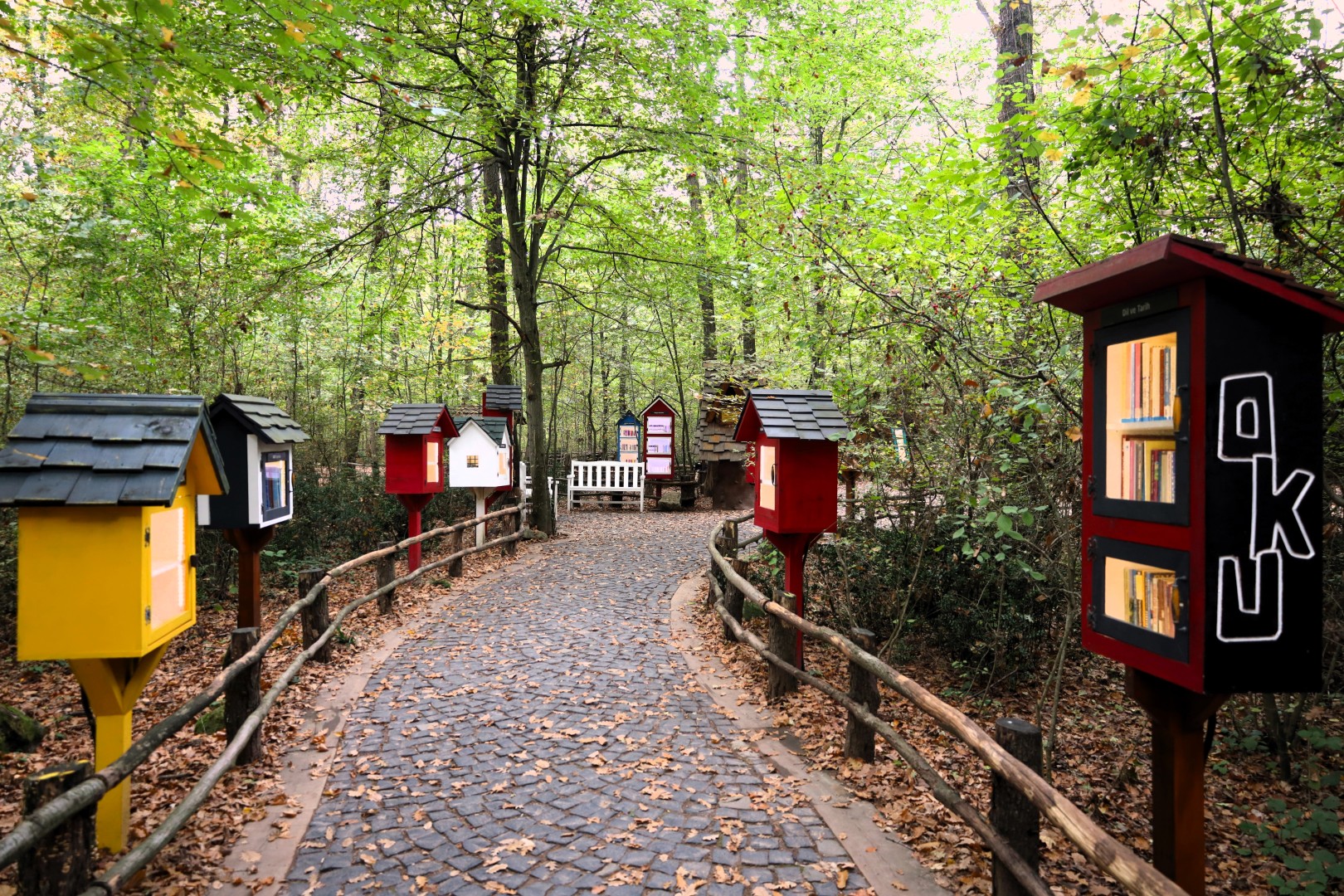 Sonbahar, Huzurun Adresi Ormanya'da Bir Başka (10) (Large)