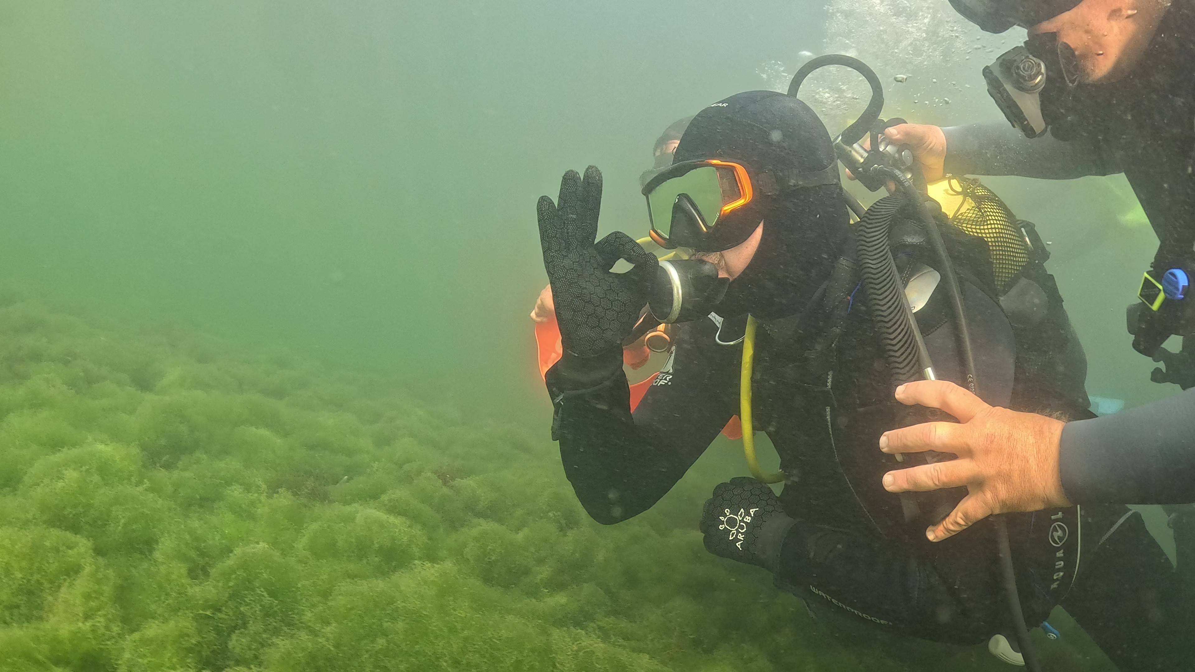 Tahir Büyükakın Dalış Yaptı! İzmit Körfezi’nde Yaşam Yeniden Başladı 01