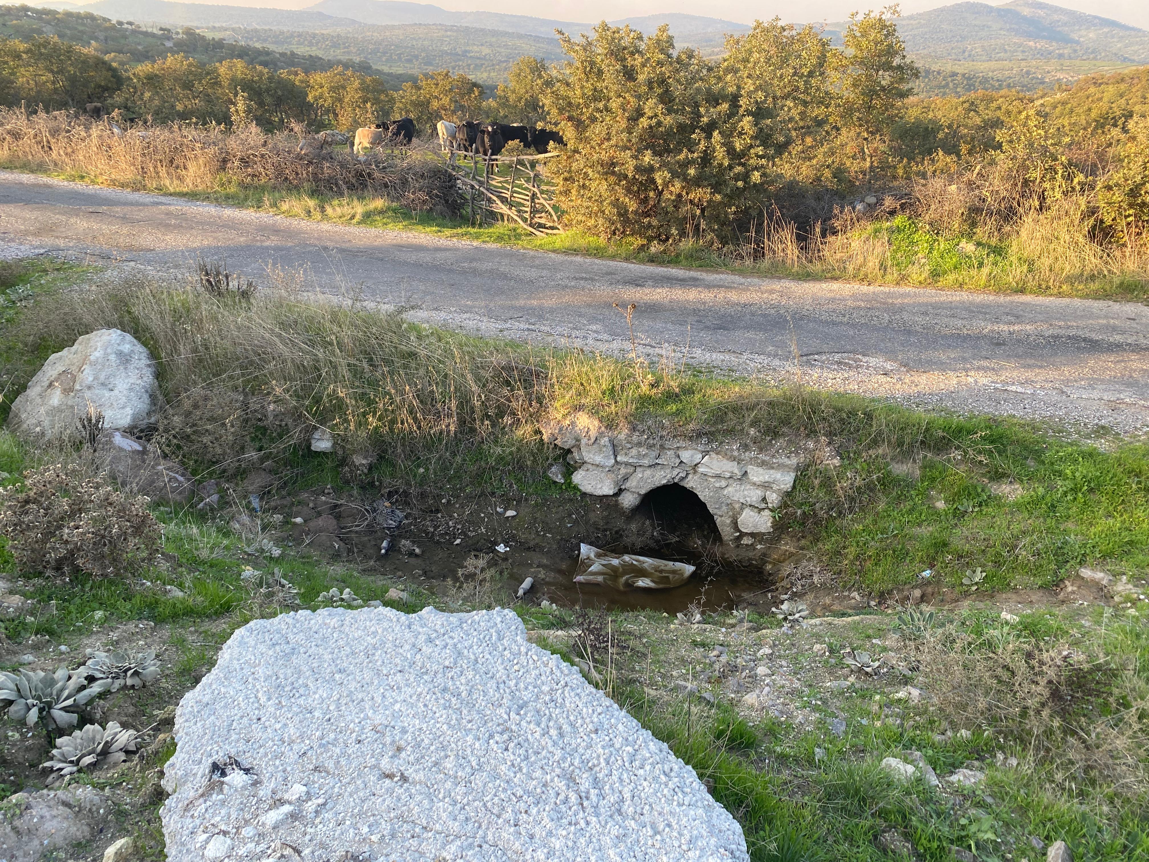 Tüyler Ürperten Olay! Boş Arazide Ölü Bebek Bulundu 1