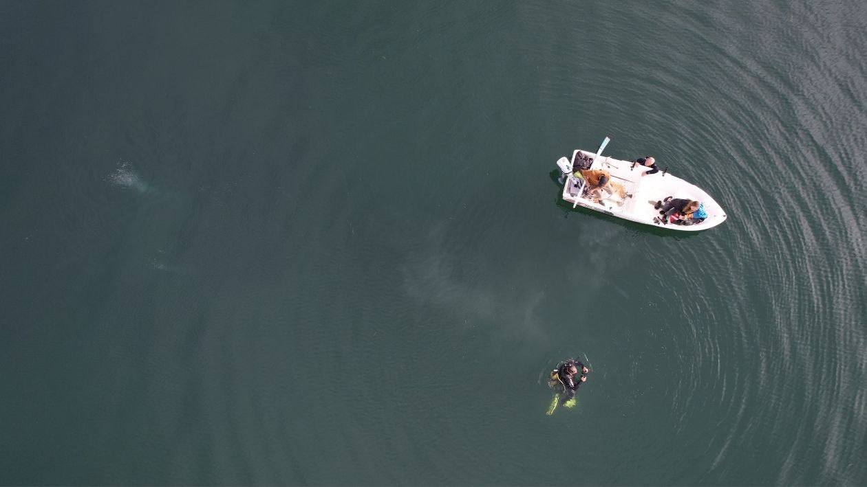 Uzmanı Açıkladı! Sapanca Gölündeki Kabarcıkların Sebebi Bakın Neymiş, Depreme Mi İşaret (7)