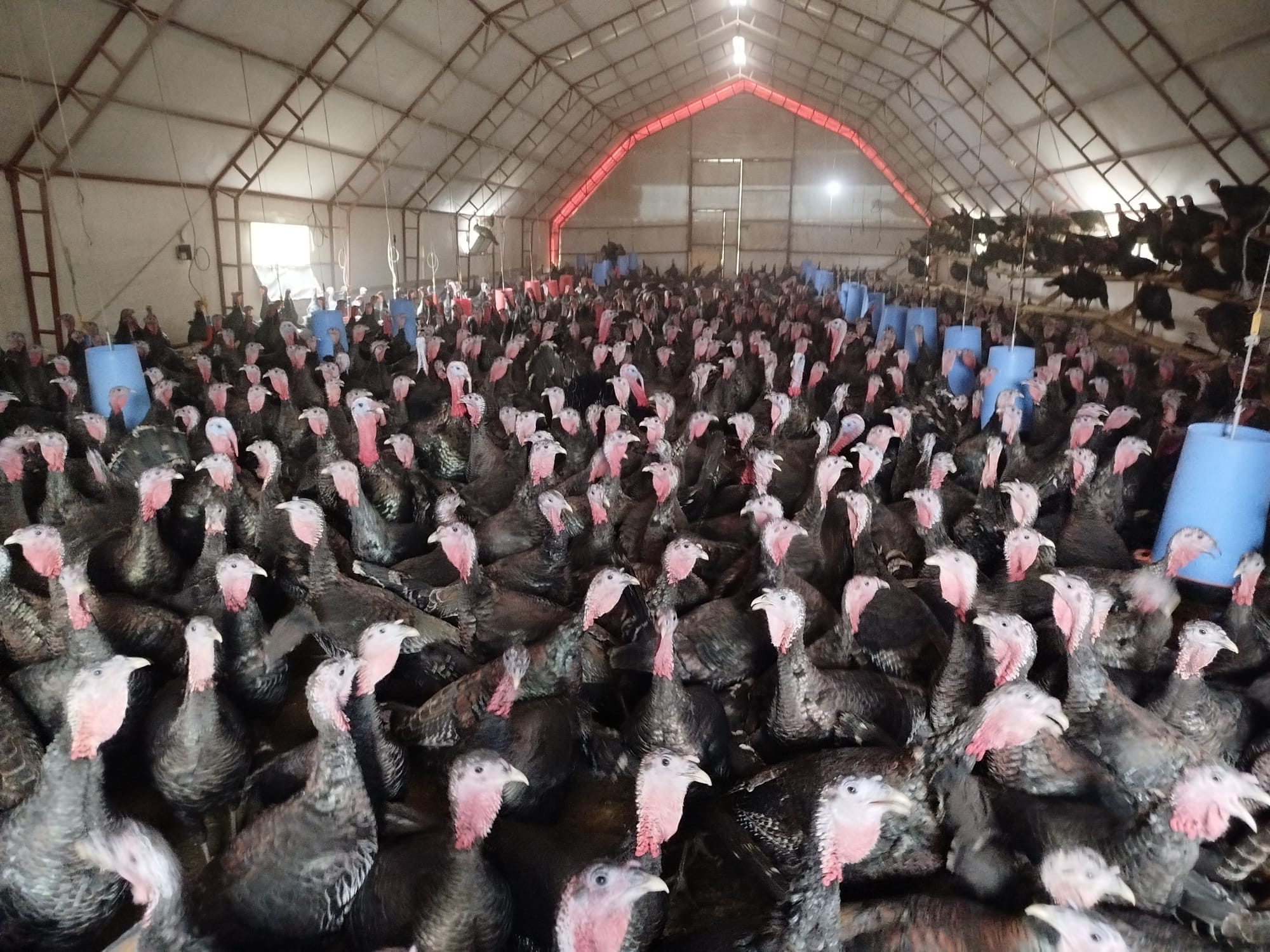 Whatsapp Image 2025 11 20 At 11.00.41