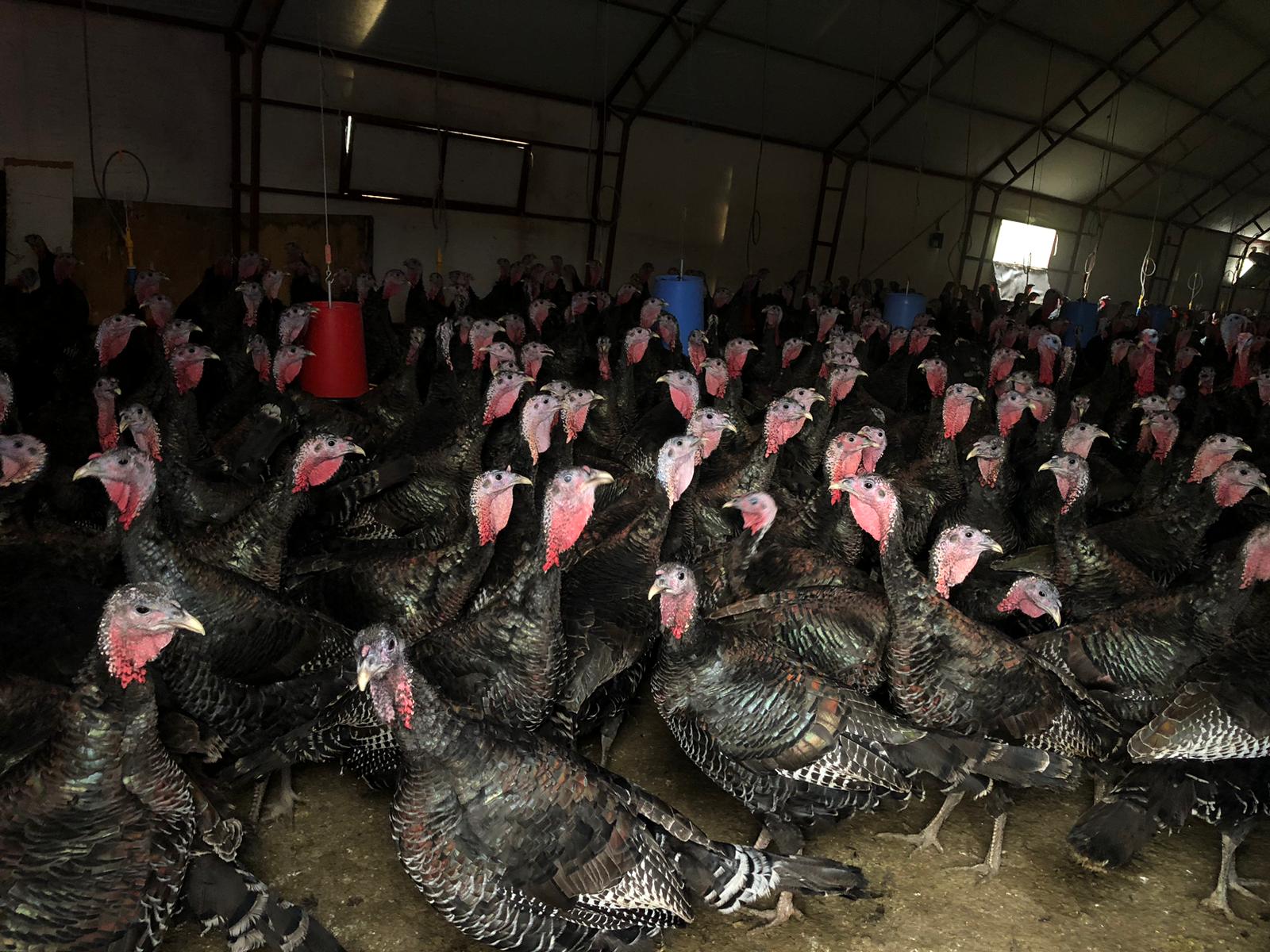 Whatsapp Image 2025 11 20 At 11.15.32