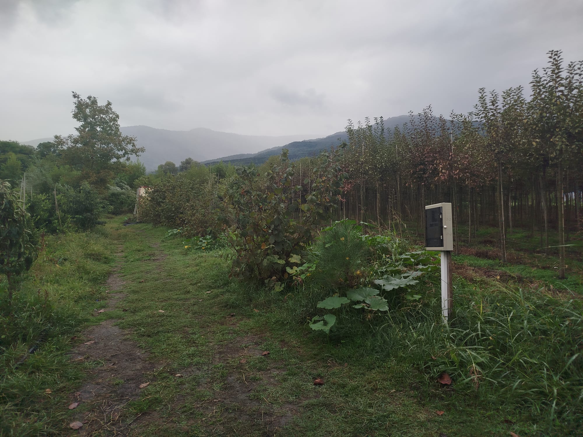 Whatsapp Image 2025 11 27 At 12.32.35