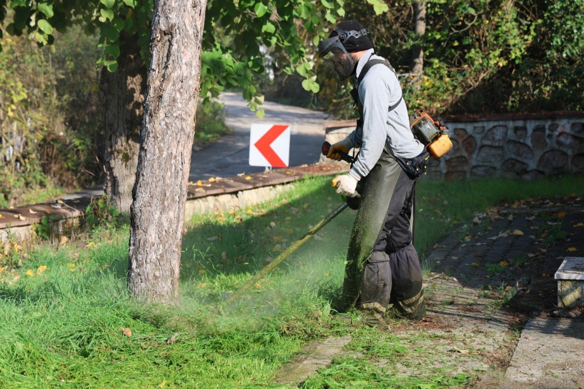 Yeşil Alan Bakım (1)