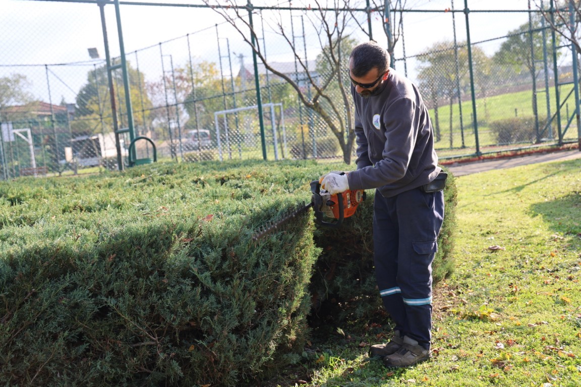 Yeşil Alan Bakım (3)