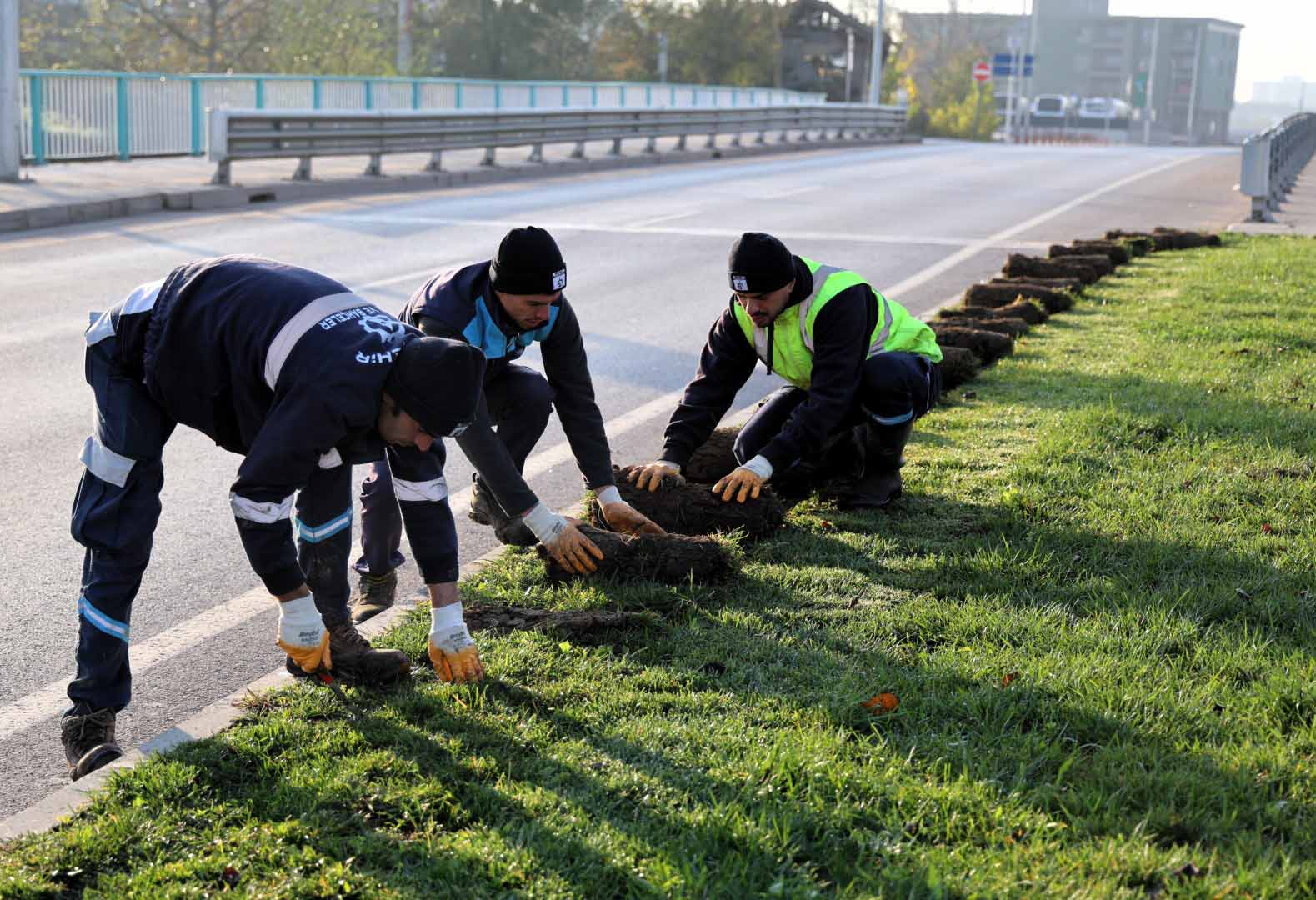 Ağaçlar Yeni Yerlerinde Hayat Bulacak (9) (Büyük)