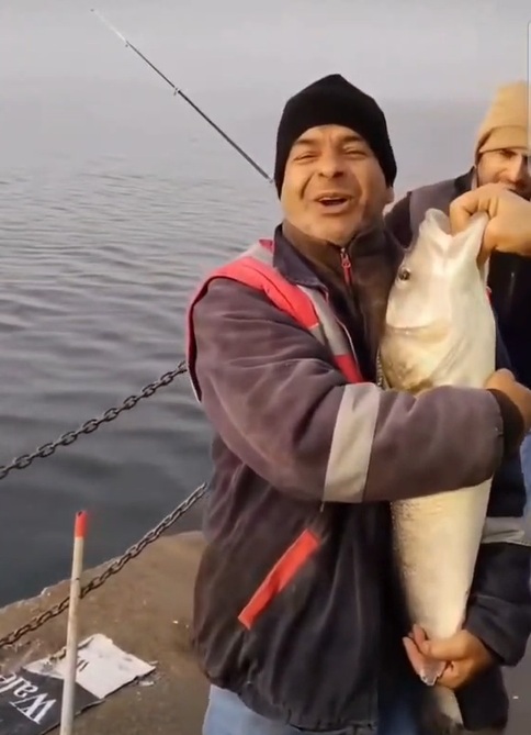 Bu Kadarını Kimse Beklemiyordu! İzmit Marina'da Oltaya Dev Levrek Takıldı; O Anlar Böyle Kaydedildi 1