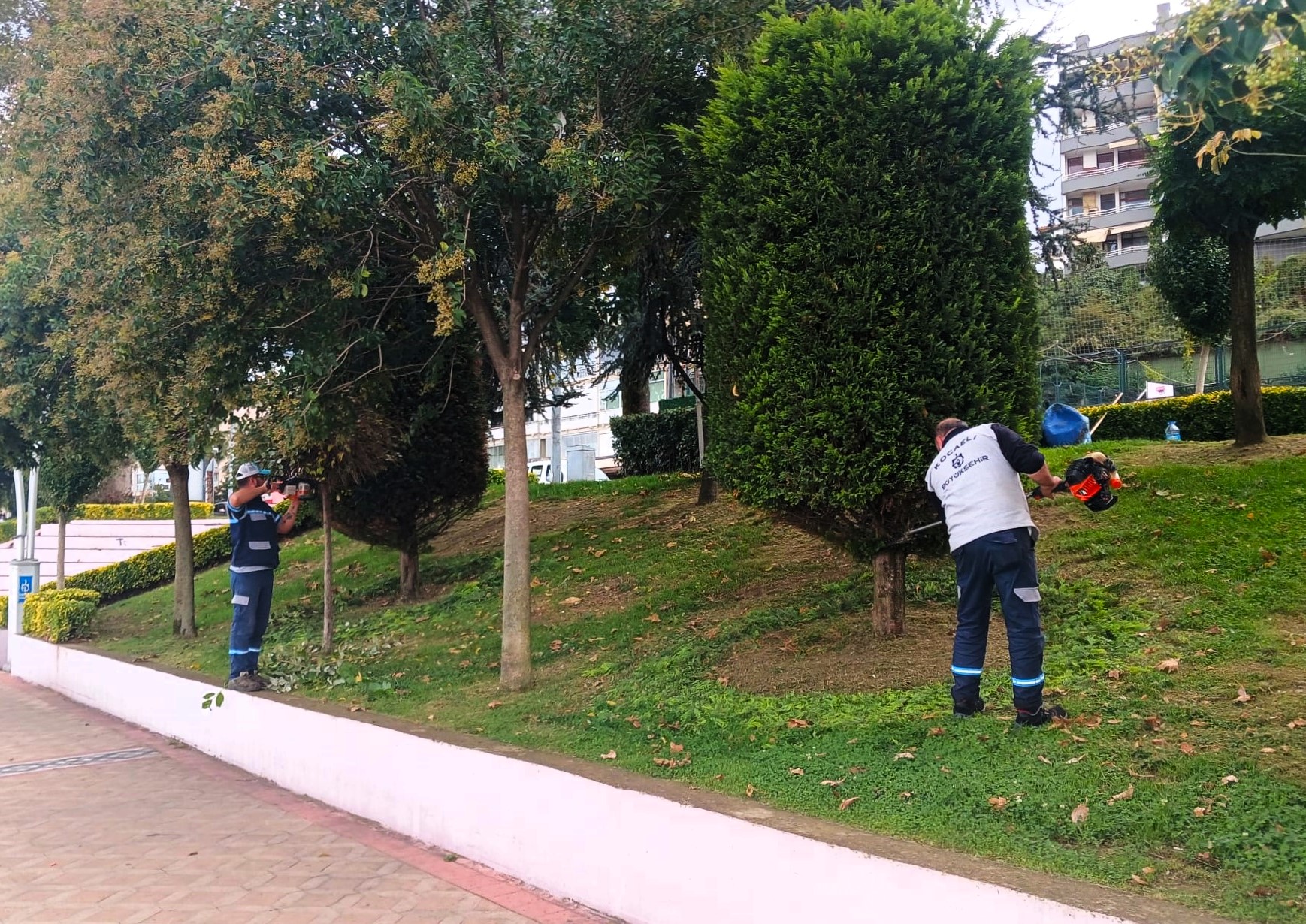 Büyükşehir'den Yeşil Alanlara Özel Bakım (4)