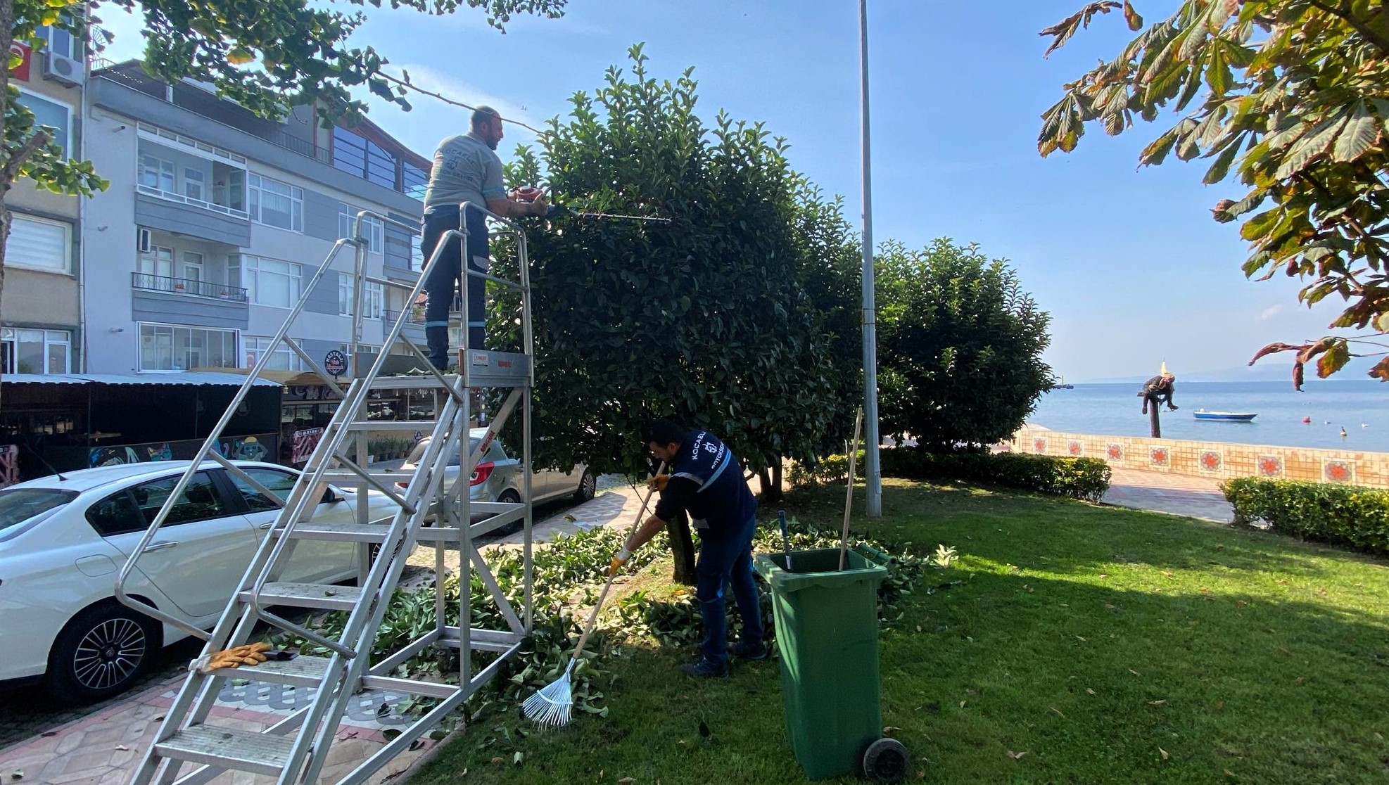 Büyükşehir'den Yeşil Alanlara Özel Bakım (7)