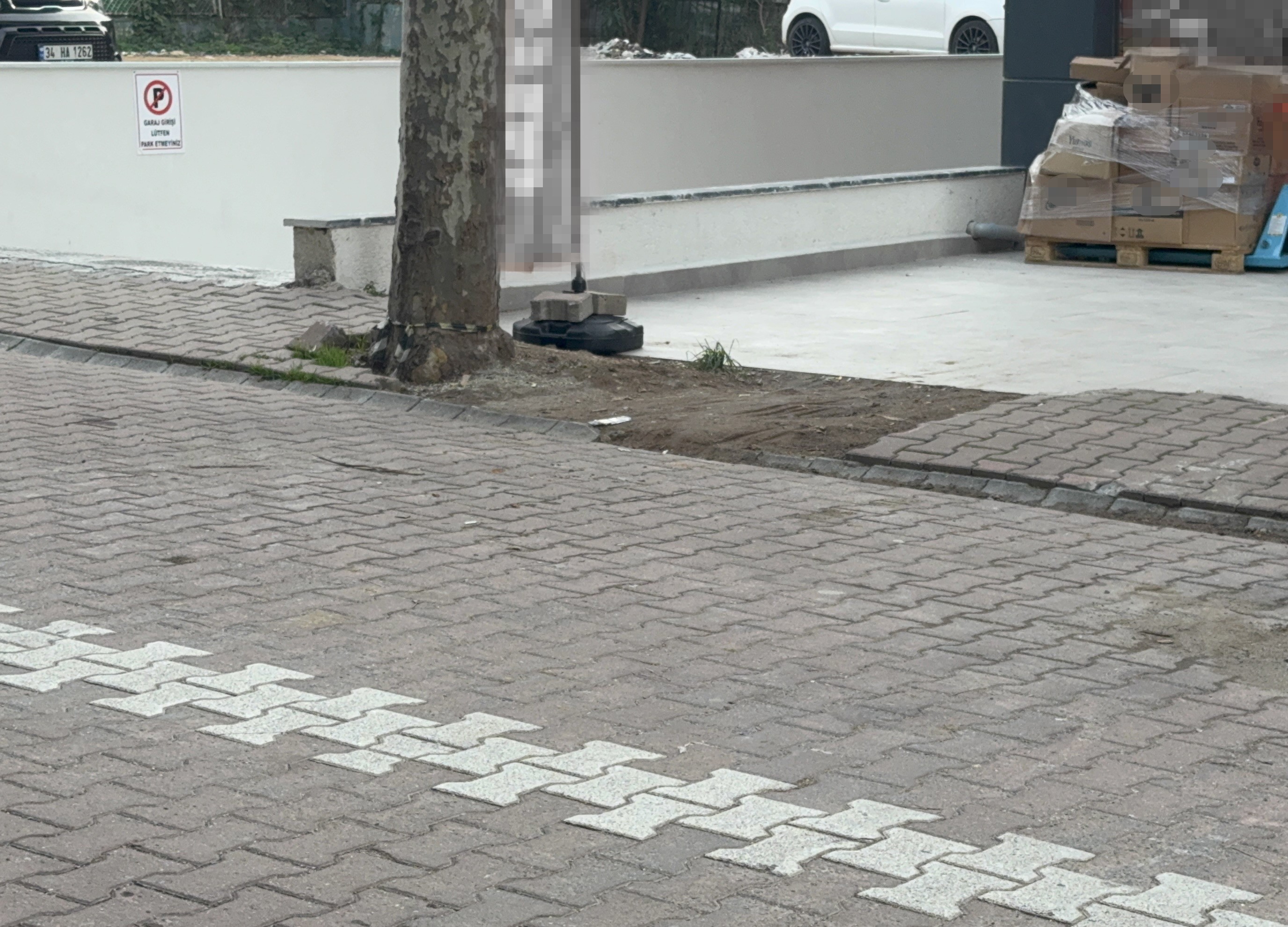 Darıca’da Duyarlı Davranış Ağaç Altında Bulunan 60 Bin Dolar Emniyete Teslim Edildi (3)