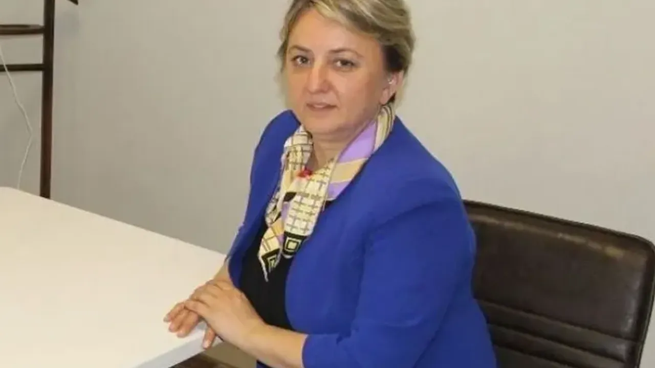 Ebru Küçükaydın