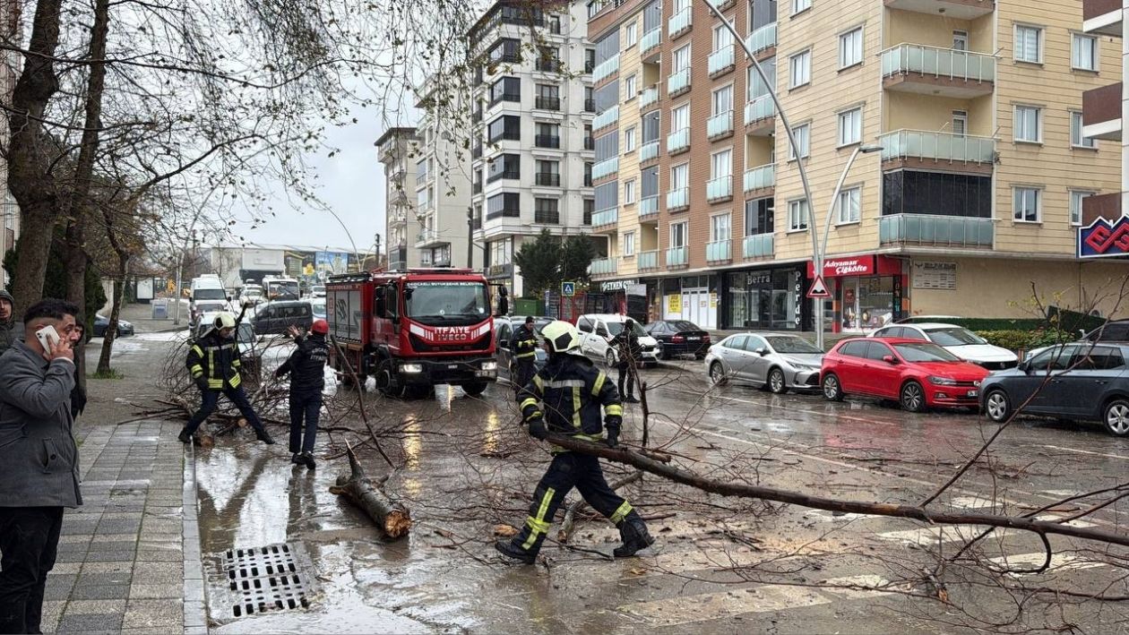 Gebze’de Kuvvetli Rüzgar Ağaç Dallarını Kopardı! 2 Araç Hasar Gördü (1)