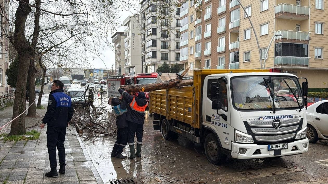 Gebze’de Kuvvetli Rüzgar Ağaç Dallarını Kopardı! 2 Araç Hasar Gördü (2)