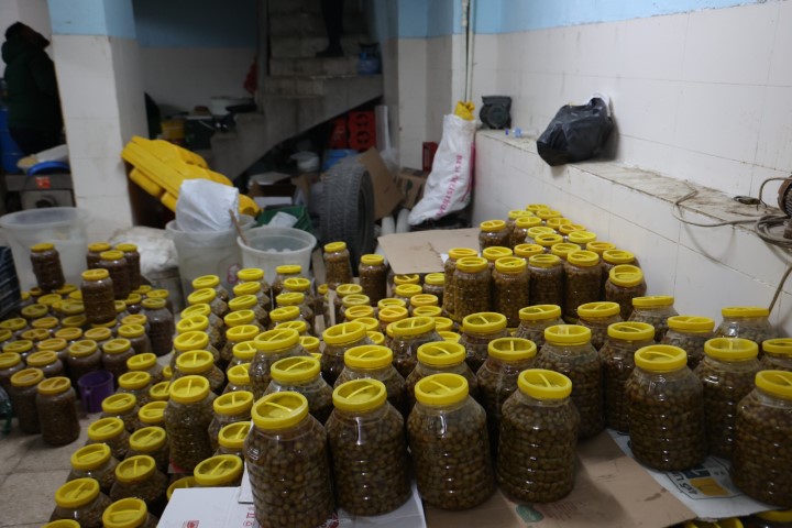 Gıda Denetiminde Korkunç Manzara! Yerde Ölü Fareler, Raflarda Tarihi Geçmiş Ürünler (2)