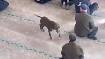 Image 2025 12 20T171636465 1