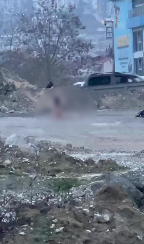 İzmit’te Köprü Altında Çıplak Şahıs Paniği (3)