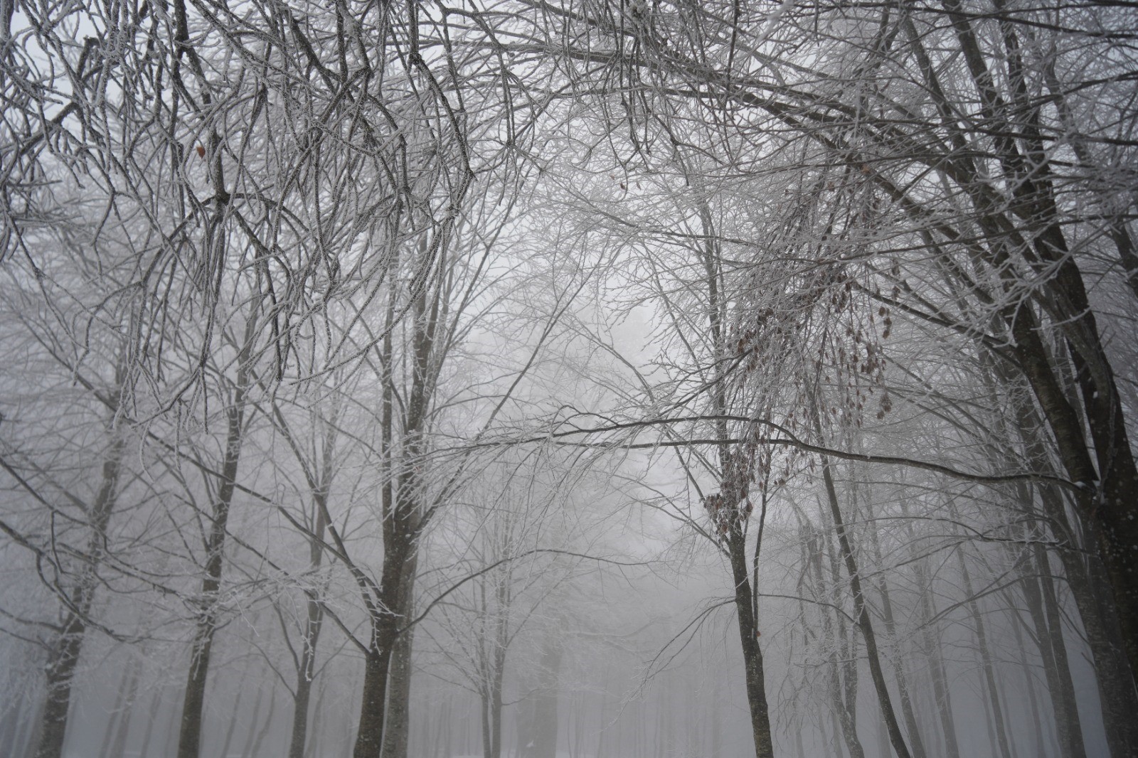 Kartepe’de Kar Kalınlığı 10 Santimetreyi Aştı! 06