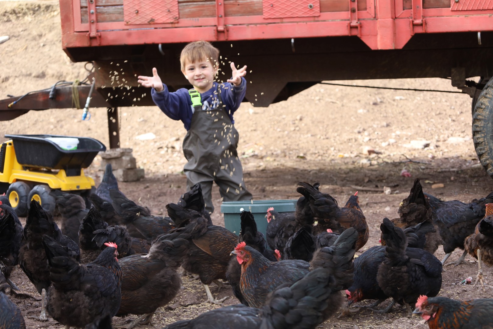 Kırsalda Geçim Kapısı Güçleniyor, Istihdam Artıyor (10)