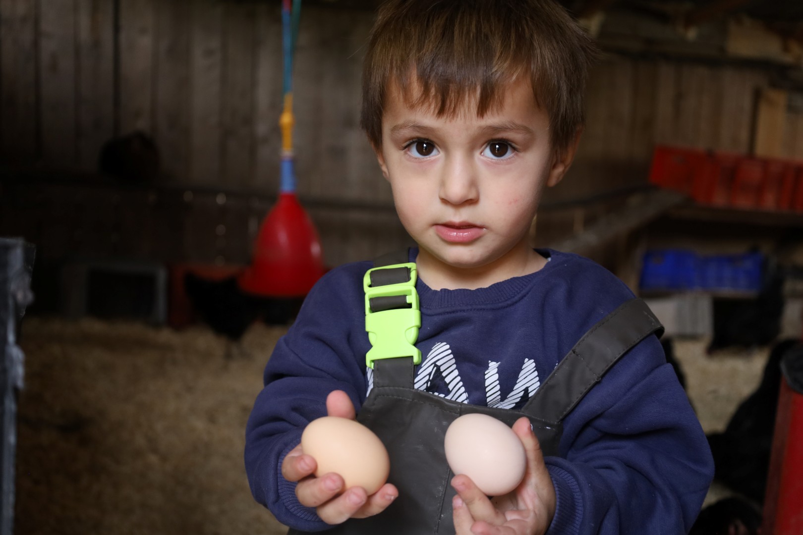 Kırsalda Geçim Kapısı Güçleniyor, Istihdam Artıyor (8)