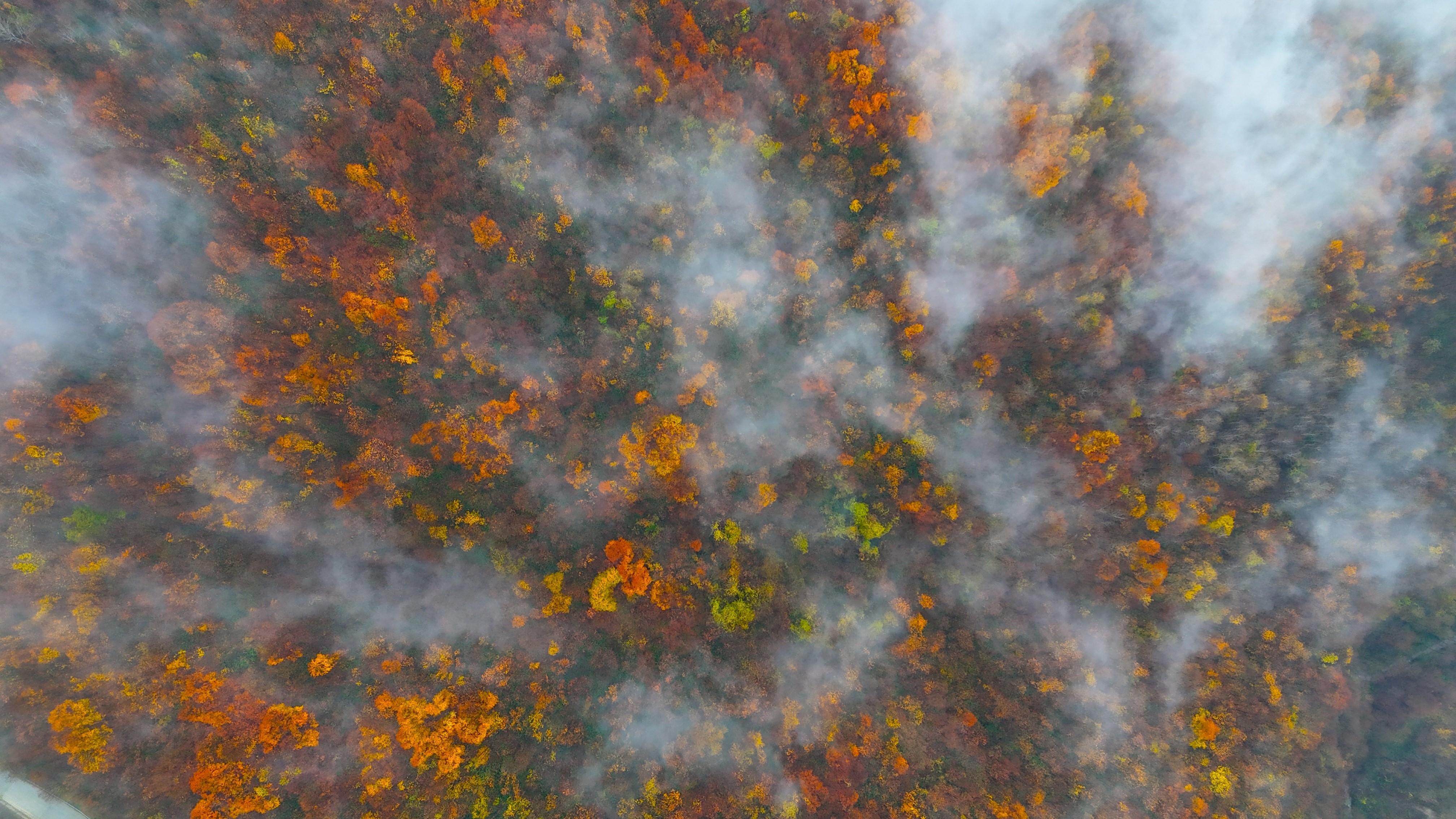 Kocaeli'de Aralık Ayının Son Günlerinde Etkili Olan Sis Ve Sonbaharın Renkleri, Yüksek Kesimlerde Kartpostallık Manzaralar Oluşturdu (6)