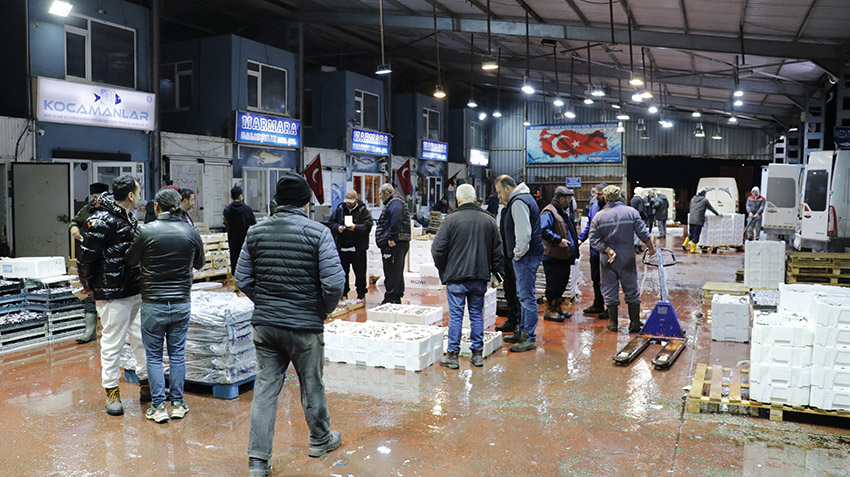 Kocaeli’de Balık Mezatlarının Yıldızı Hamsi Oldu 6