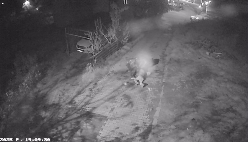 Kocaeli'de Yaşlı Adam Dehşeti Yaşadı! O Anlar Kameralara An Be An Yansıdı 15