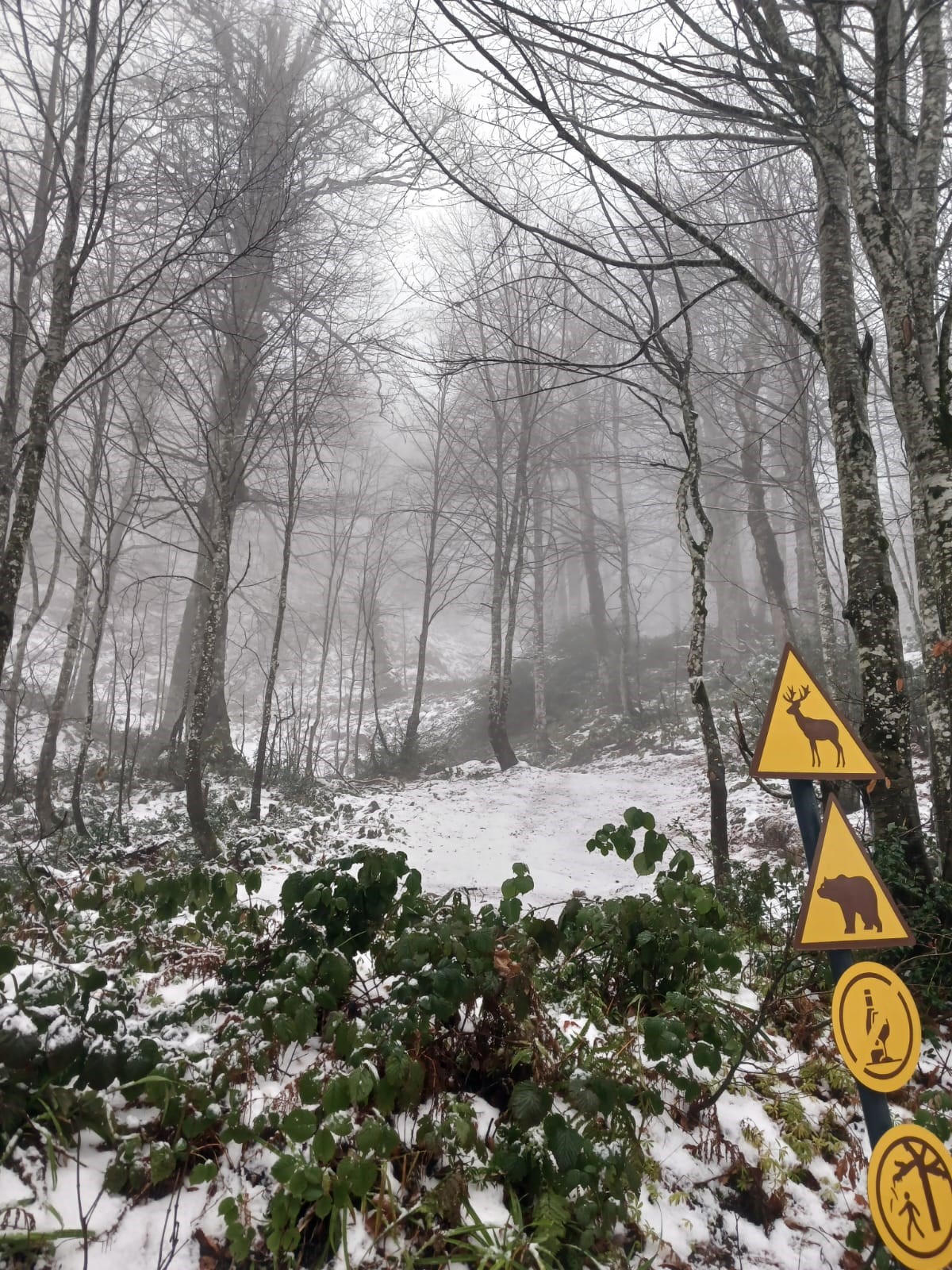 Kocaeli'de Zirve Beyaza Büründü! Kartepe'de Kar Yağışı Devam Ediyor 02