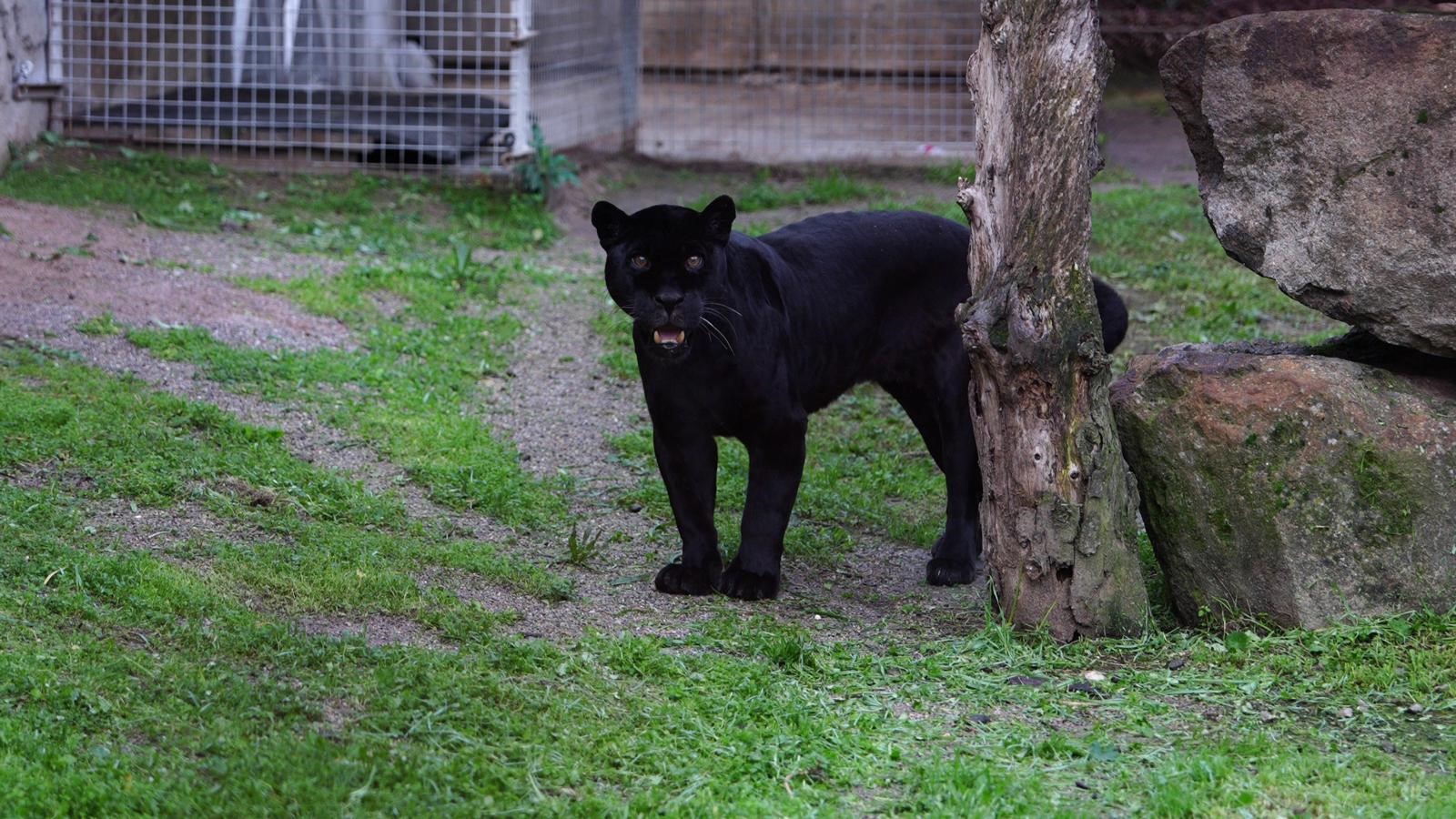 Kocaeli’den İzmir’e Uzanan Yolculuk (1)
