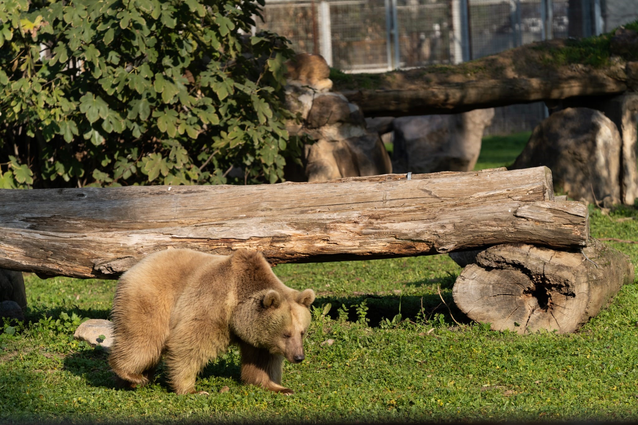 Kocaeli’den İzmir’e Uzanan Yolculuk (3)