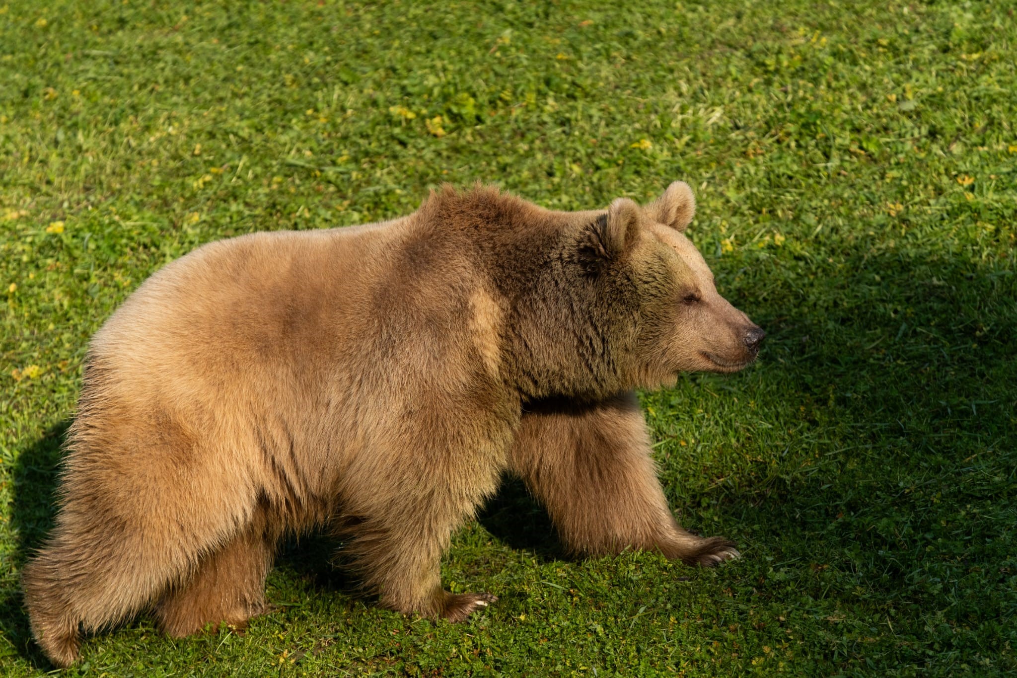 Kocaeli’den İzmir’e Uzanan Yolculuk (4)