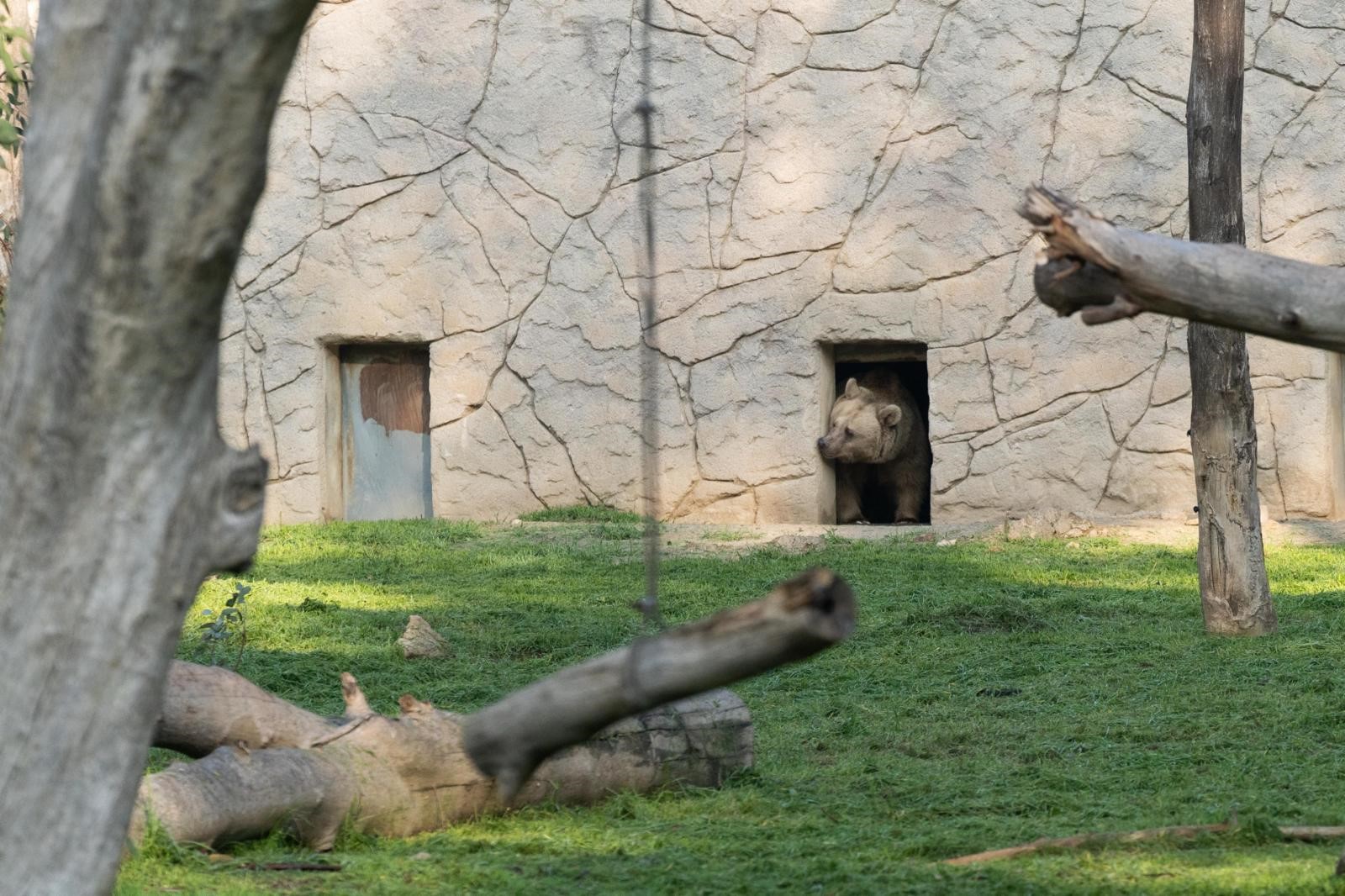 Kocaeli’den İzmir’e Uzanan Yolculuk (5)