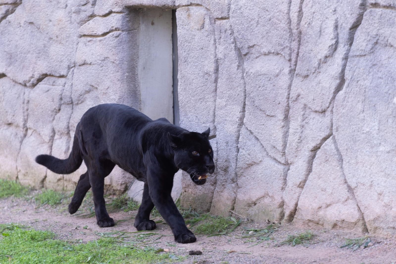 Kocaeli’den İzmir’e Uzanan Yolculuk (7)
