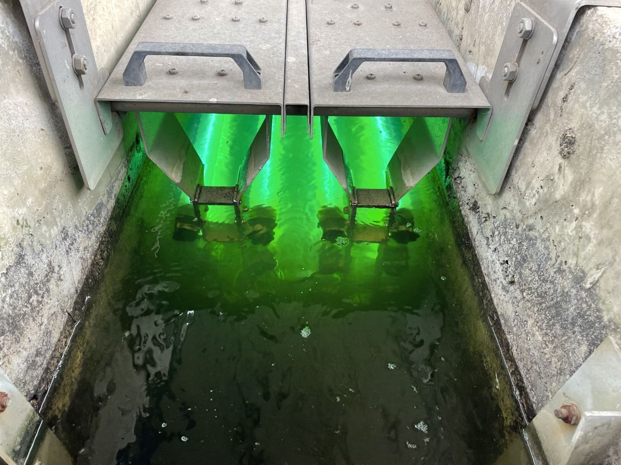 Kocaeli'nin Su Geleceği Güvence Altında! 1