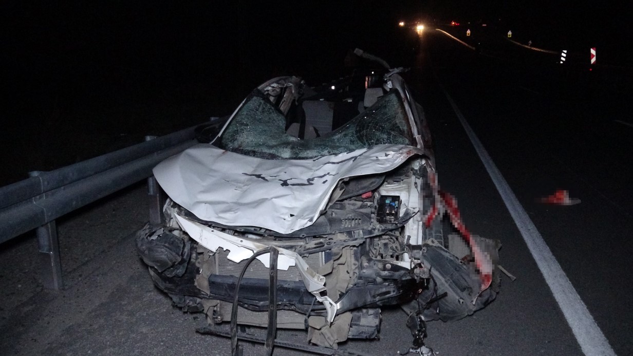 Malatya Ankara Karayolunda, Tavladan Kaçarak Yola Çıkan Yarış Atlarına Araçlar Çarptı. Üç Araçta Büyük Hasar Oluşurken, Bir Kişi Yaralandı, Çok Sayıda Tay Telef Oldu (1)