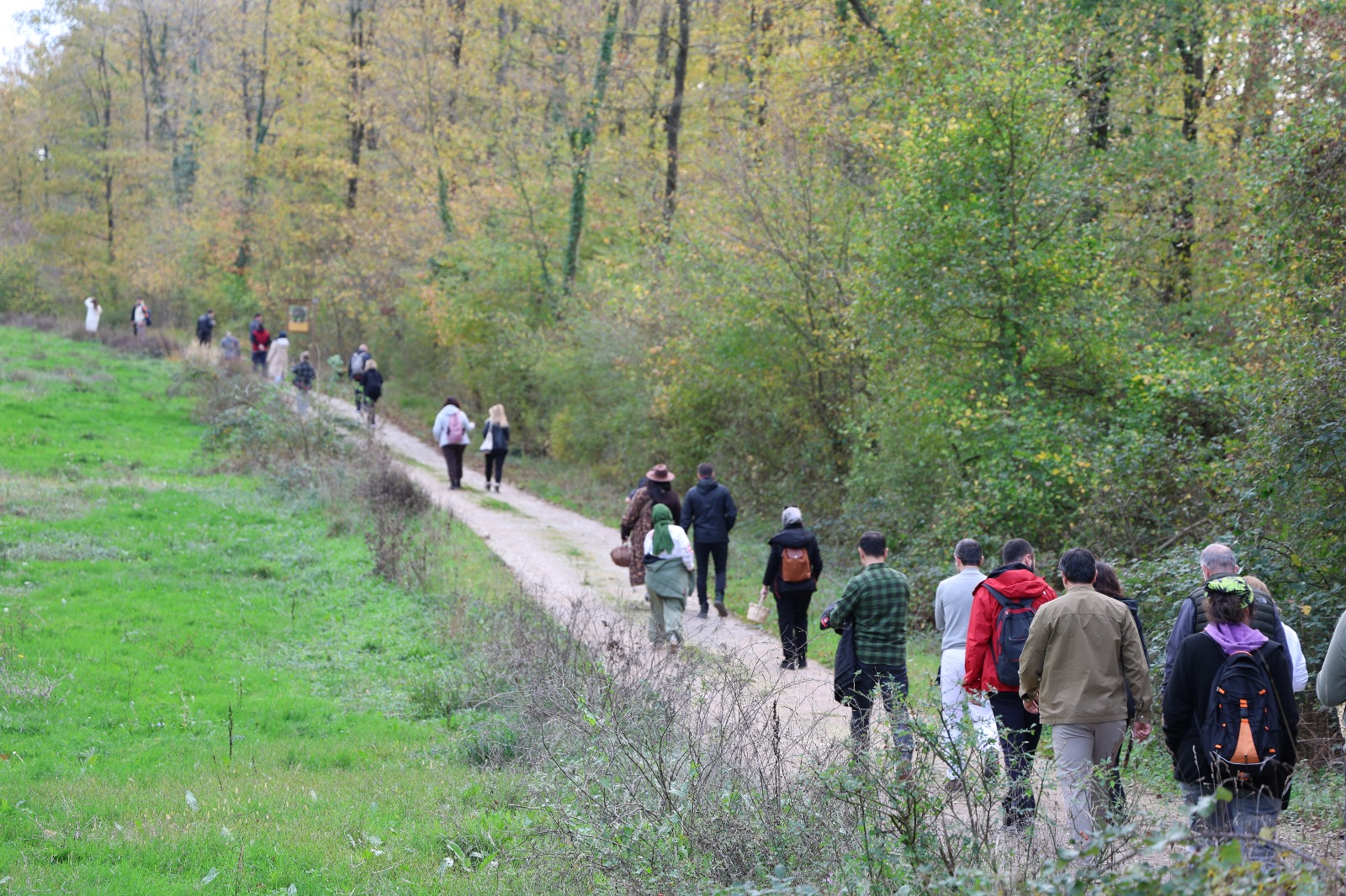 Mantar Avıyla Doğanın Tadını Çıkardılar (7)
