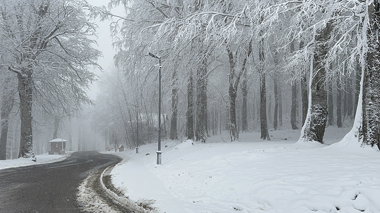 Meteoroloji Tarih Verdi (5)
