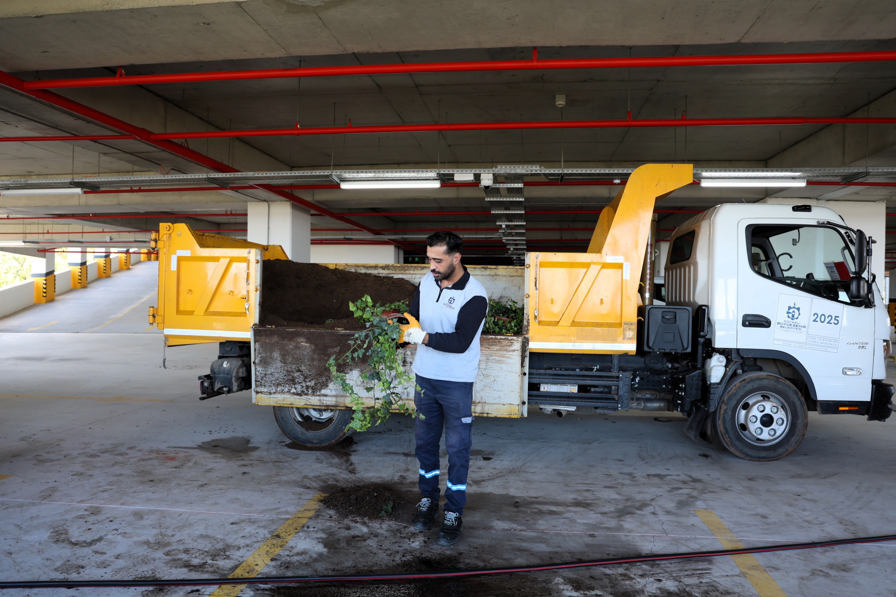 Otoparkta Bitkilendirme Çalışması (3)