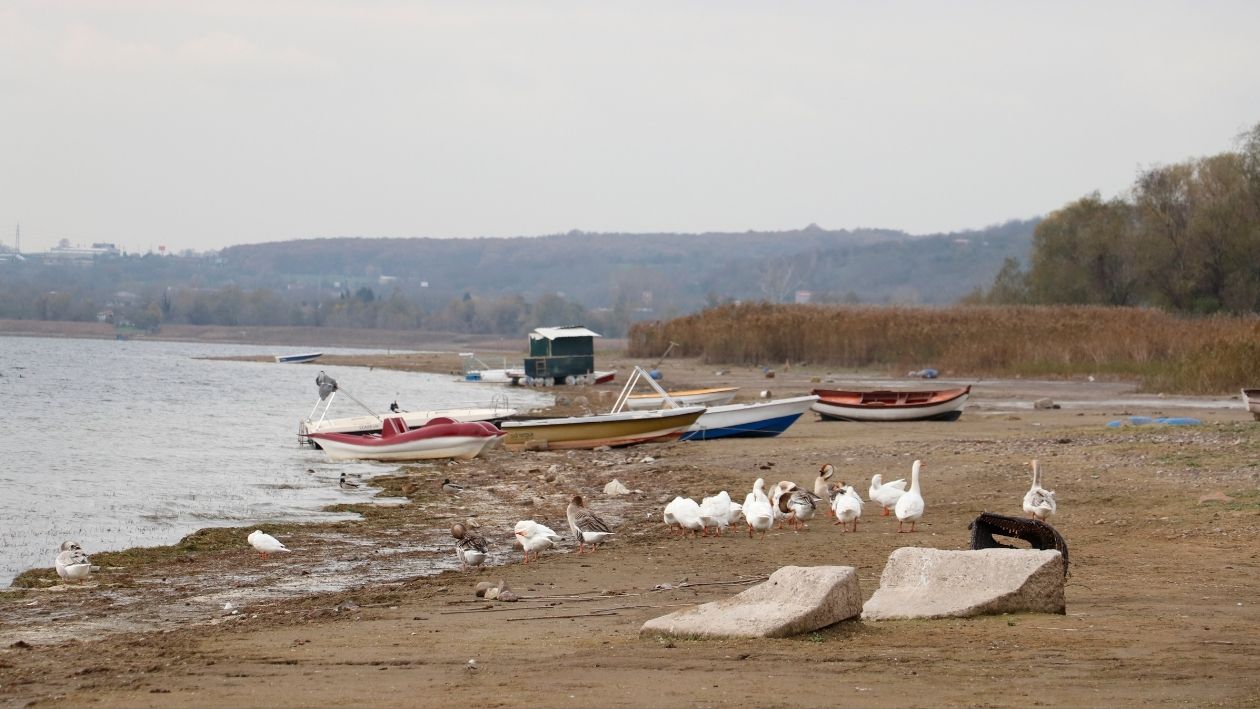 Sapanca Gölü’nde Tehlikeli Çekilme Eşme Sahili Alarm Veriyor (6)