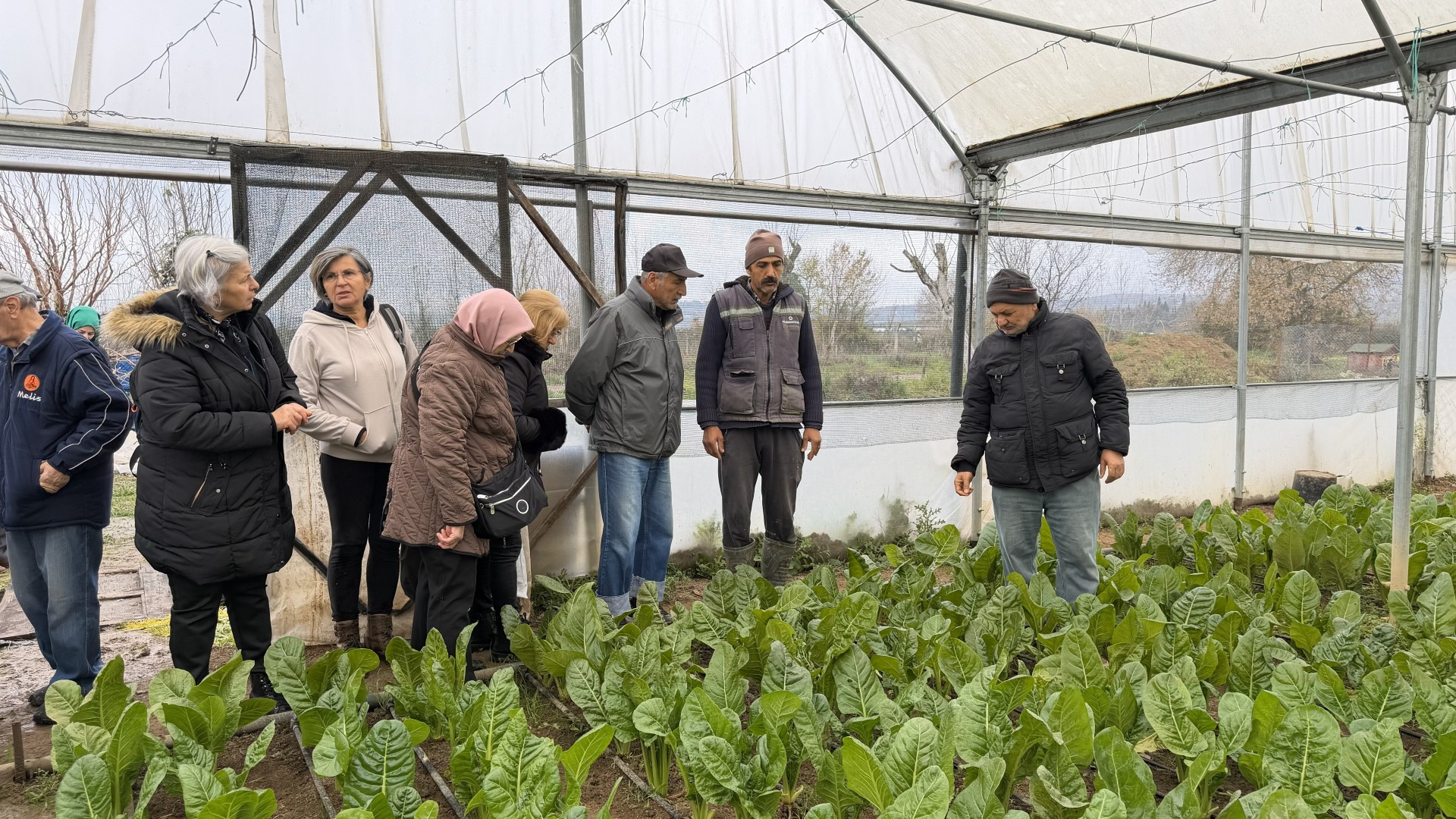 Saygınlar Kulübü'nün 'Tarım' Keyfi (3) (Large)