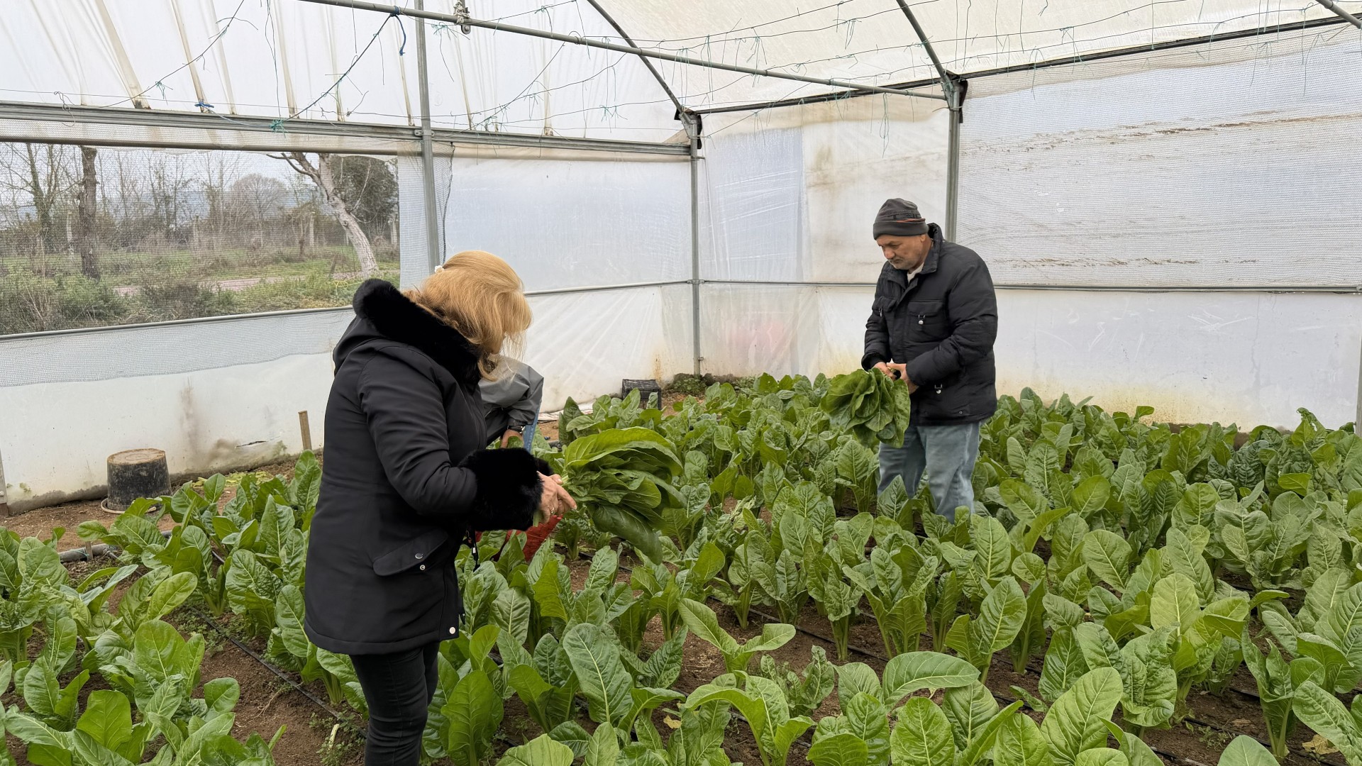 Saygınlar Kulübü'nün 'Tarım' Keyfi (4) (Large)